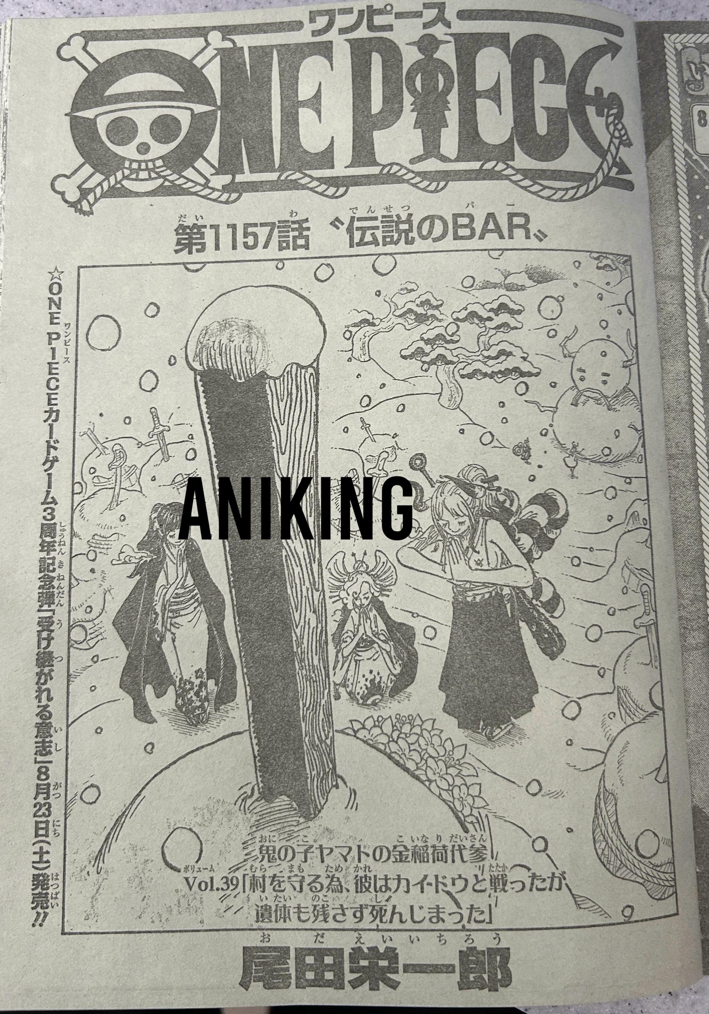       One   Piece Bar legendaire Page 15